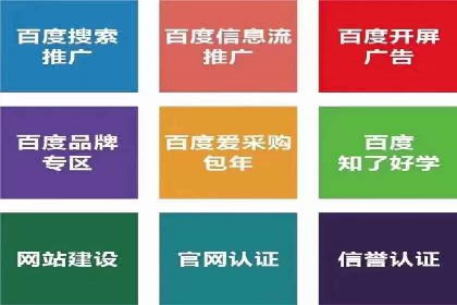 SEM公司案例分析：搜索引擎优化策略与执行